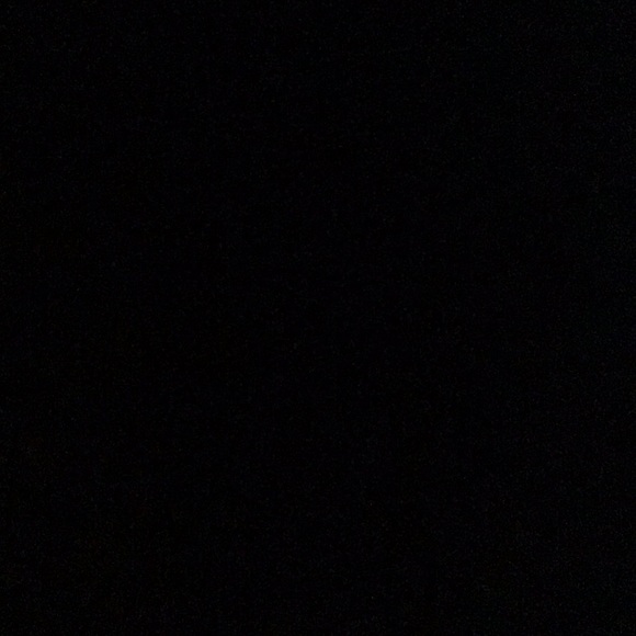 thecleangarment